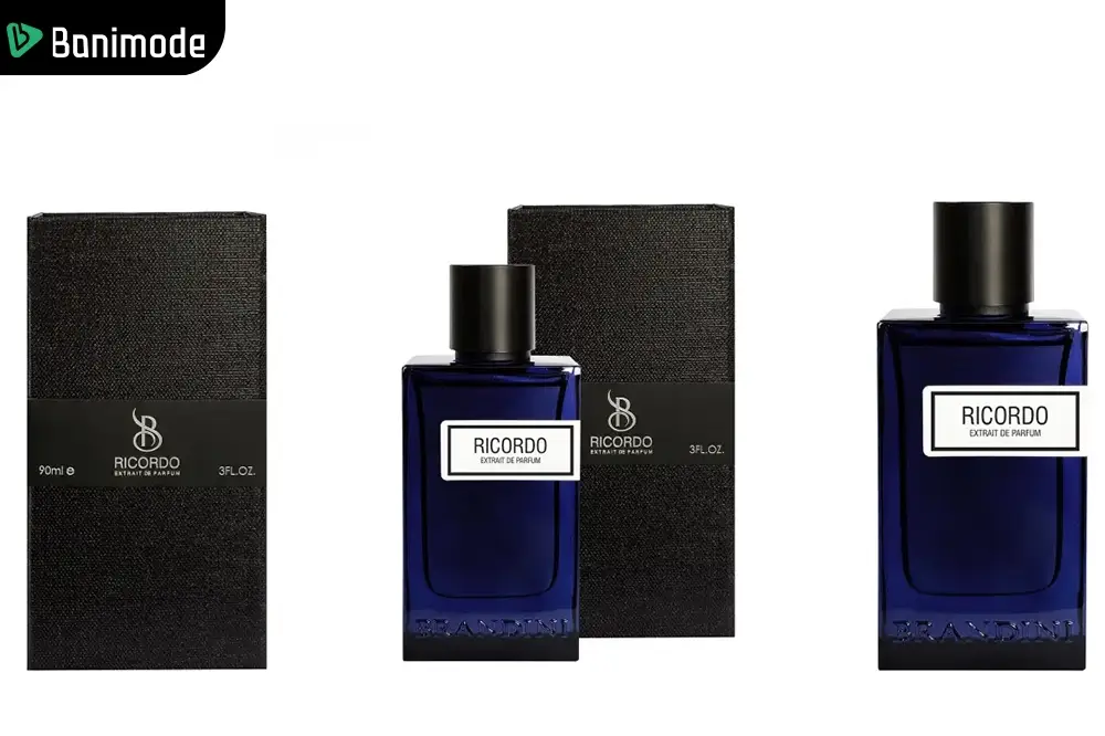 عطر پرفیوم مردانه برندینی