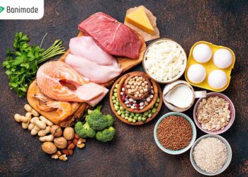 مواد غذایی پروتئینی