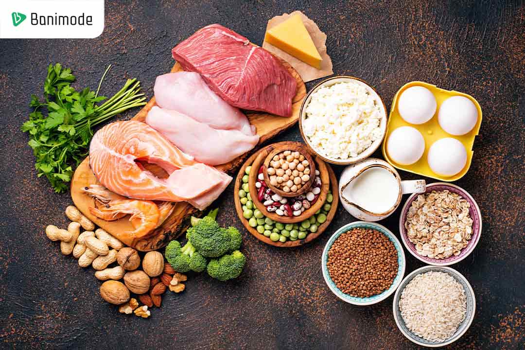 مواد غذایی پروتئینی